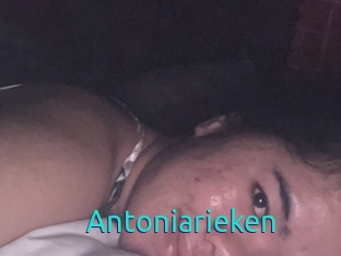 Antoniarieken