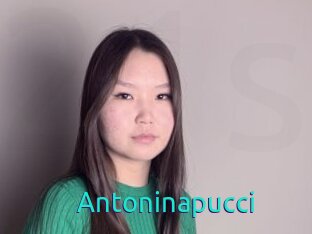Antoninapucci