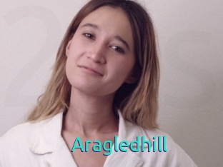 Aragledhill