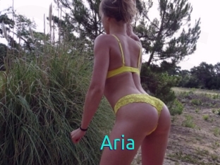 Aria