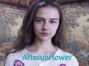 Ariasunflower