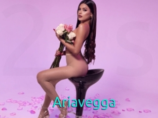 Ariavegga