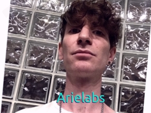arielabs 21 sextury Link