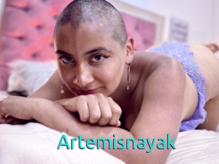 Artemisnayak