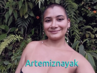 Artemiznayak