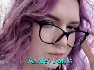 Ashleybarks