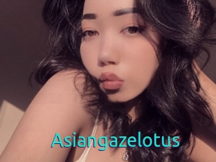 Asiangazelotus