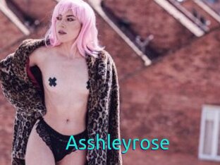 Asshleyrose