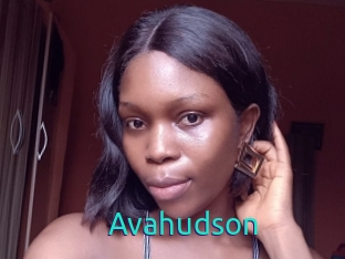avahudson 21 sextury Link