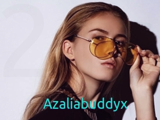 Azaliabuddyx