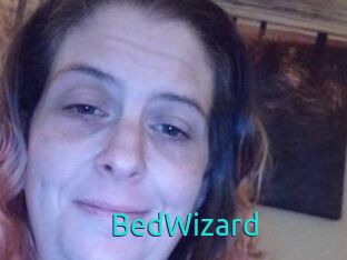 BedWizard 21 sextury Link