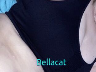 Bella_cat