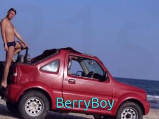 BerryBoy