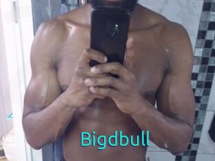 Bigdbull