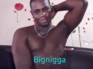 Bignigga