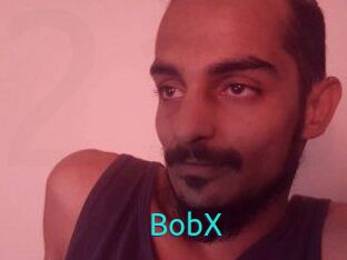 BobX