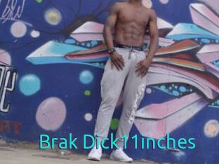 Brak_Dick11inches