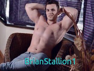 BrianStallion1