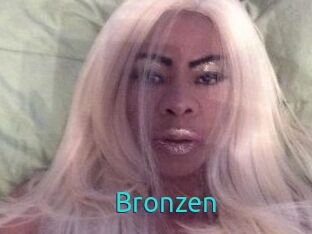Bronzen 21 sextury Link