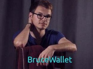 BruceWallet