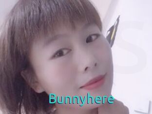 Bunnyhere