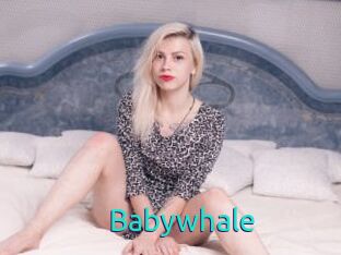 Babywhale