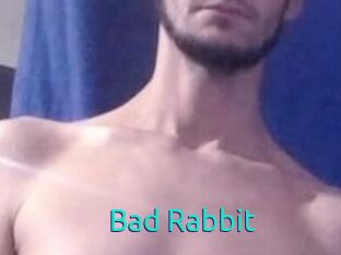 Bad_Rabbit
