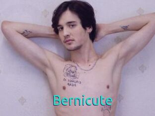 Bernicute