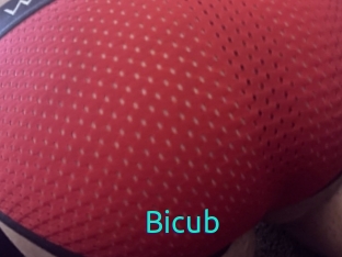 Bicub