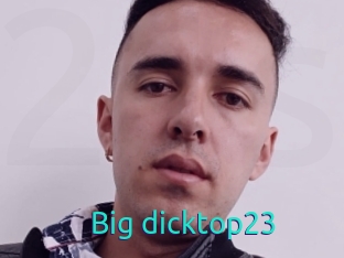 Big_dicktop23