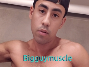 Bigguymuscle