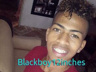 Blackboy12inches