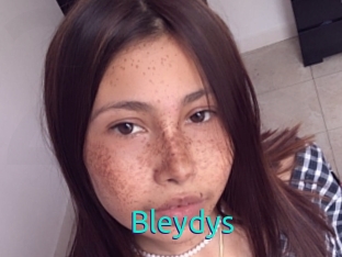 Bleydys