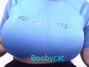 Boobycat