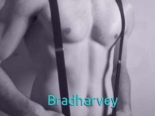 Bradharvey