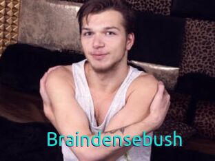 Braindensebush
