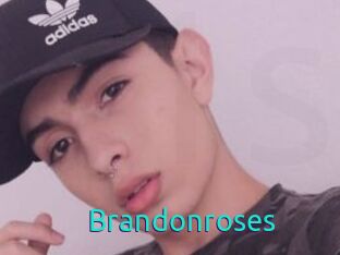 Brandonroses