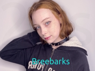 Breebarks