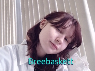 Breebaskett