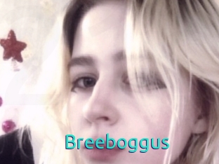 Breeboggus