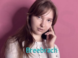 Breebrach