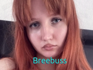 Breebuss