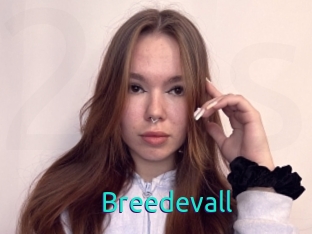 Breedevall