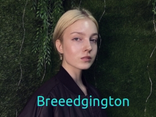 Breeedgington