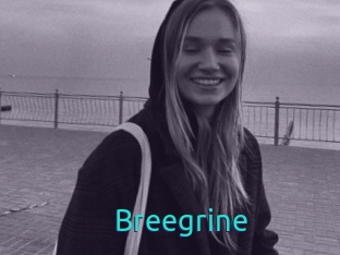 Breegrine