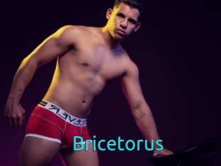 Bricetorus