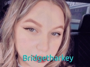 Bridgetharkey