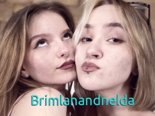 Brimlanandnelda