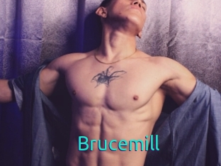 Brucemill