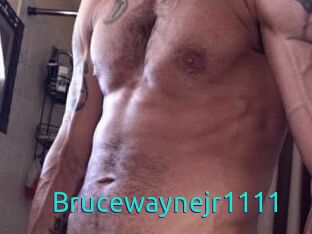 Brucewaynejr1111